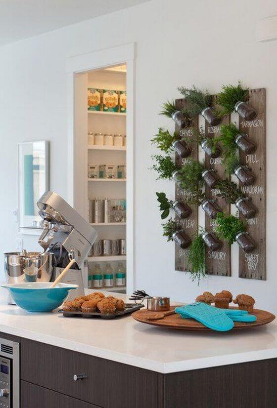 decorando la cocina con plantas