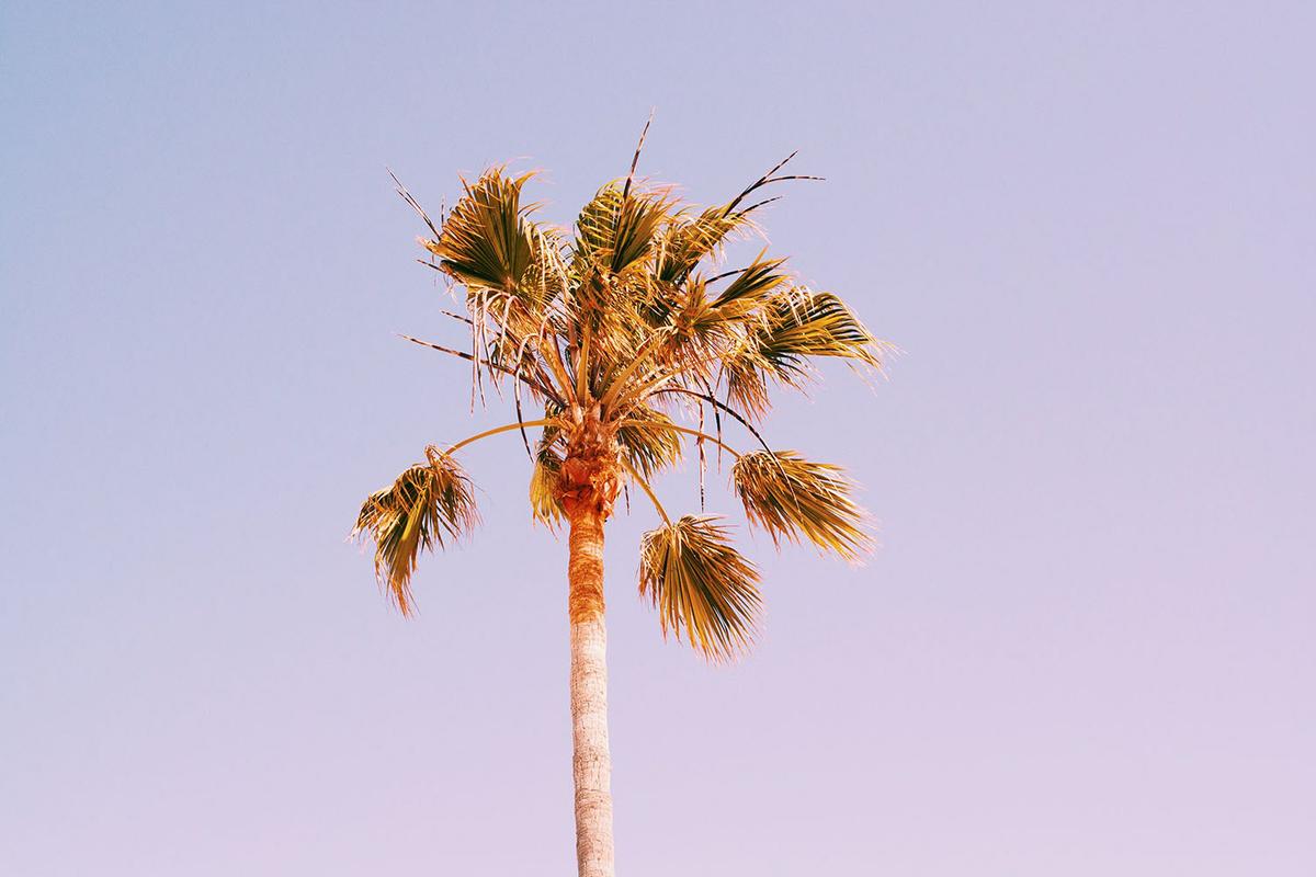 Processed with VSCO with c1 preset