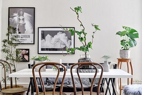 02-comedor-plantas-naturales