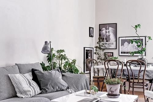 04-comedor-plantass-naturales-Zen