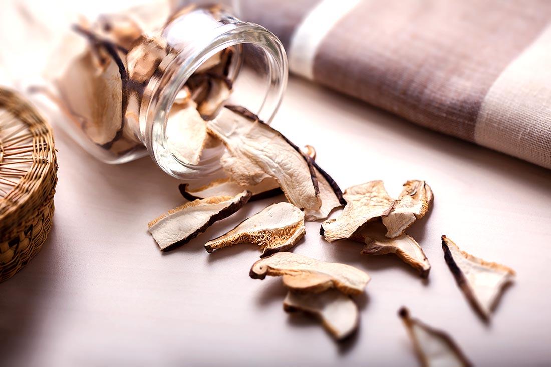 Funghi porcini secos