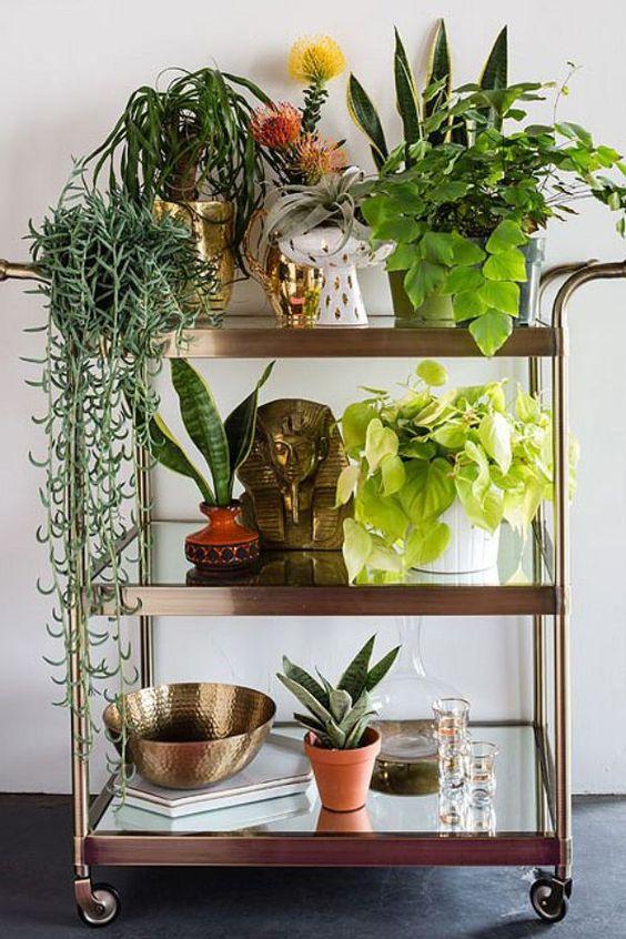 rincon_plantas_decoracion_blog_ana_pla_interiorismo_decoracion_12