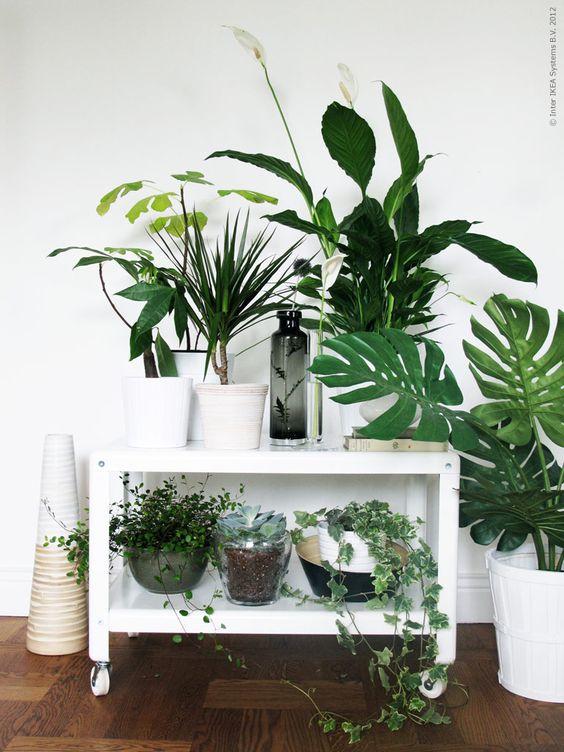 rincon_plantas_decoracion_blog_ana_pla_interiorismo_decoracion_6