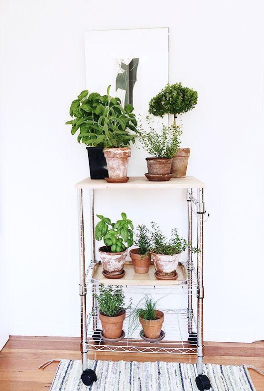 rincon_plantas_decoracion_blog_ana_pla_interiorismo_decoracion_6