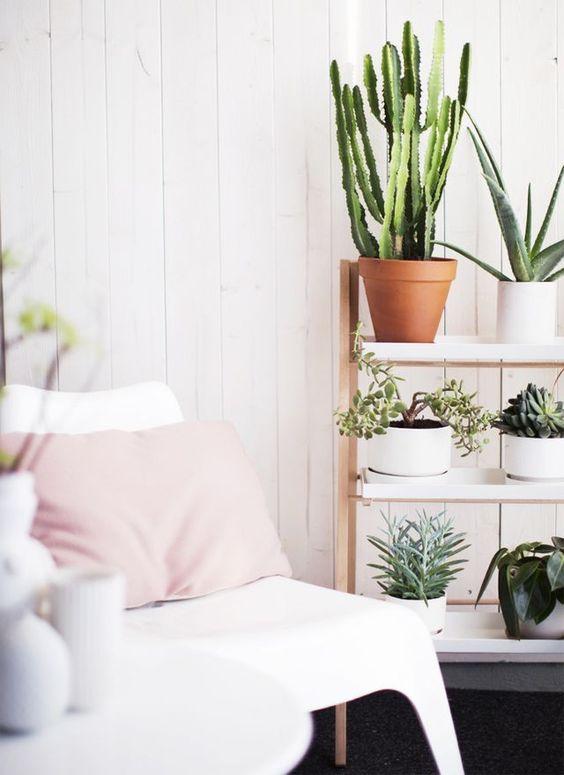 rincon_plantas_decoracion_blog_ana_pla_interiorismo_decoracion_10