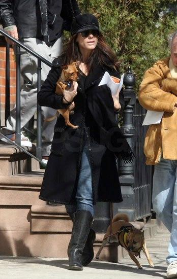 Sandra Bullock y su perro