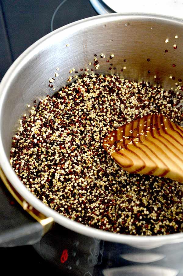 quinoa-con-pollo-y-albahaca-10