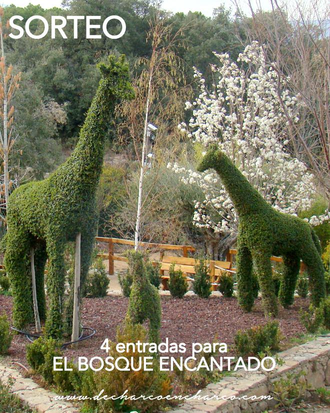 el bosque encantado sorteo www.decharcoencharco.com