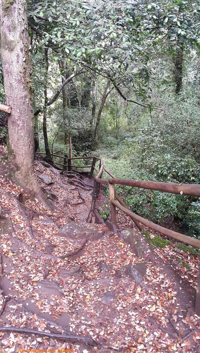 caminos-ojos-caburga-ixregion