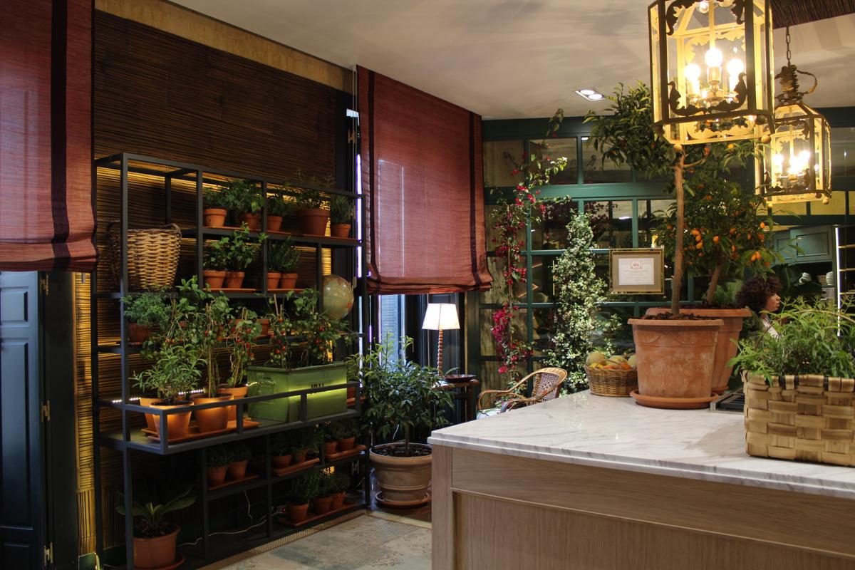 tendencias deco - Espacio Murelli