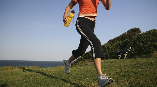 Los beneficios y propiedades de la stevia en la salud