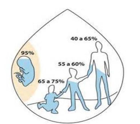 la importancia del agua para la hidratación