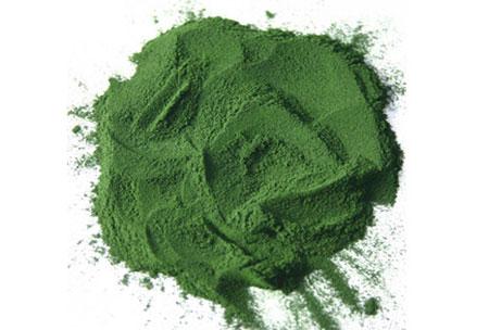 El polvo de la espirulina propiedades