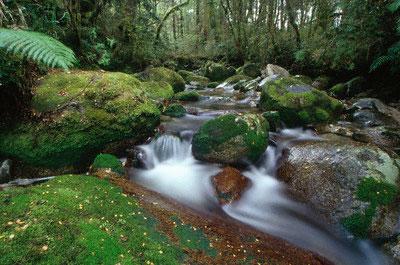 actividades para desarrollar la Inteligencia musical