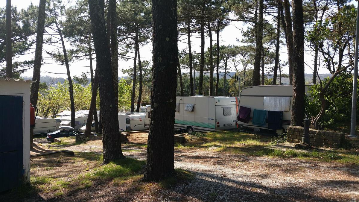 13271400_10209657100169944_1997597029_o