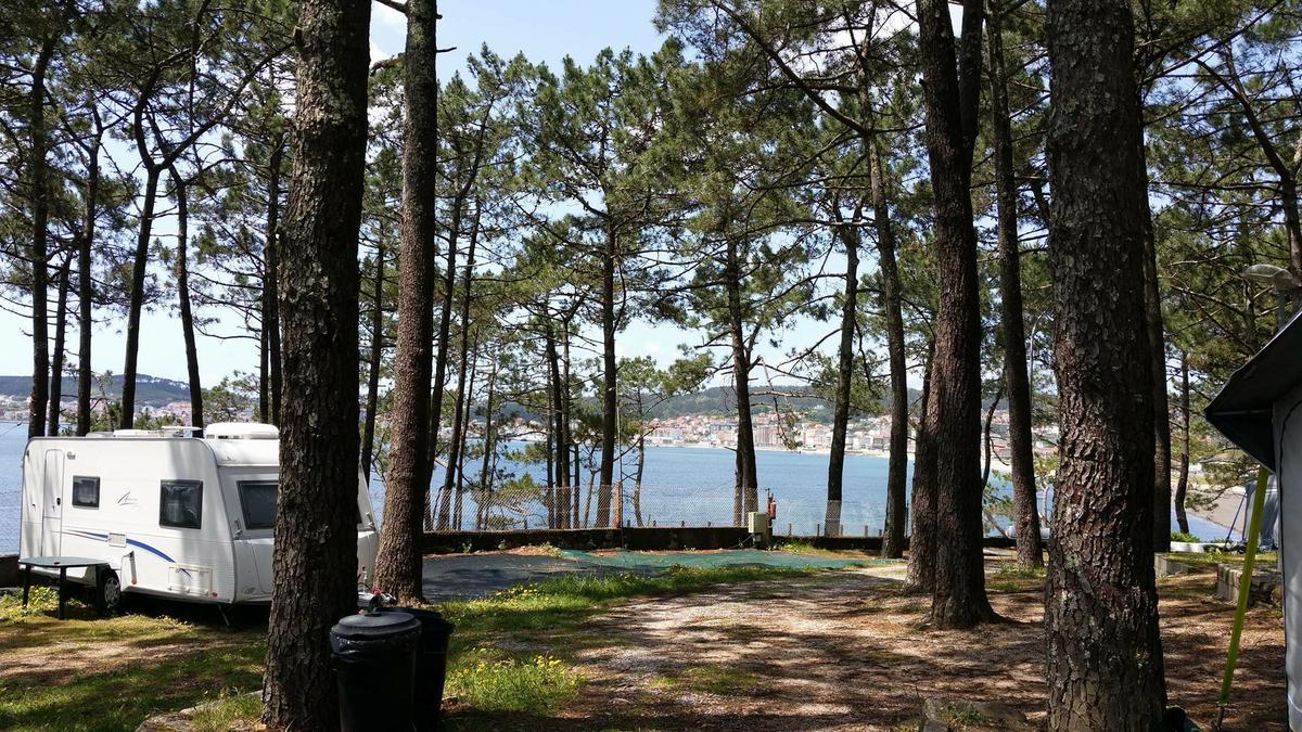 13271421_10209657102049991_771053833_o