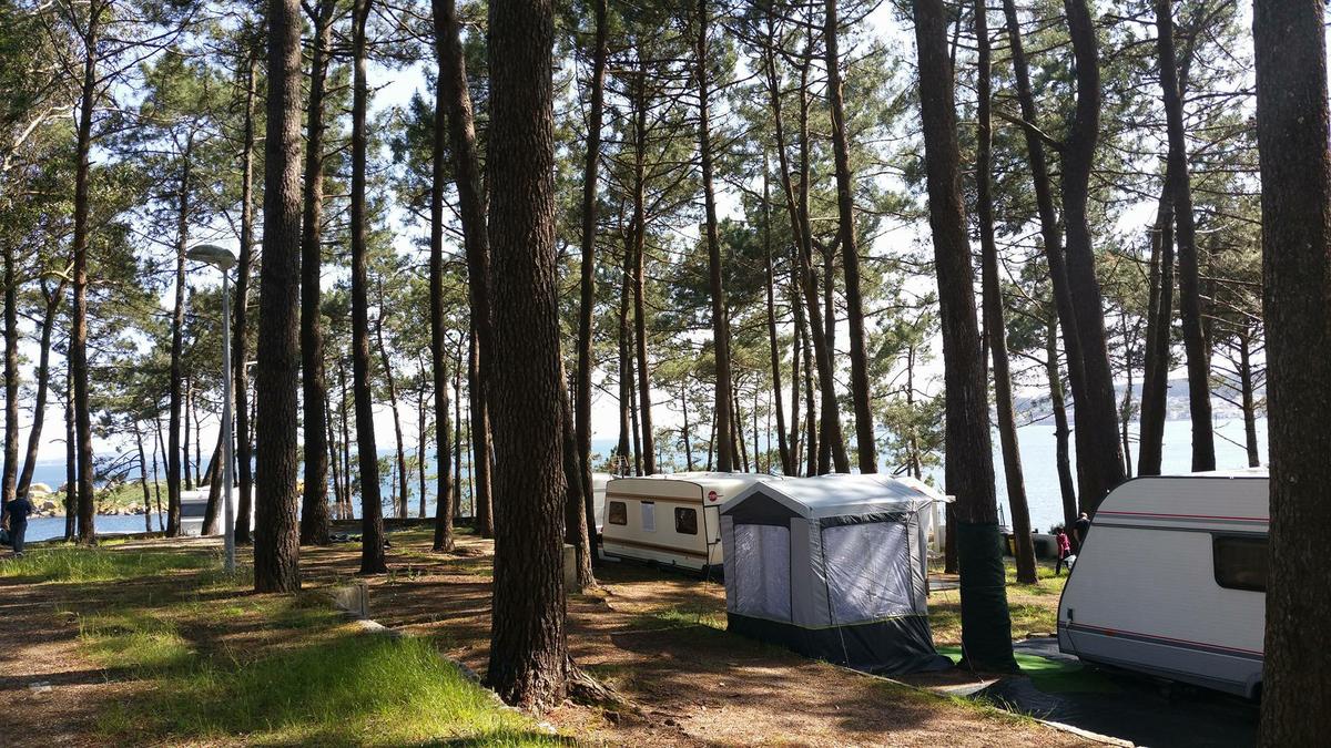 13271618_10209657099849936_327816040_o