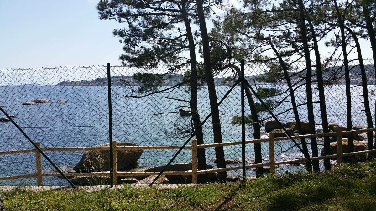 13275007_10209657100689957_1674761829_o