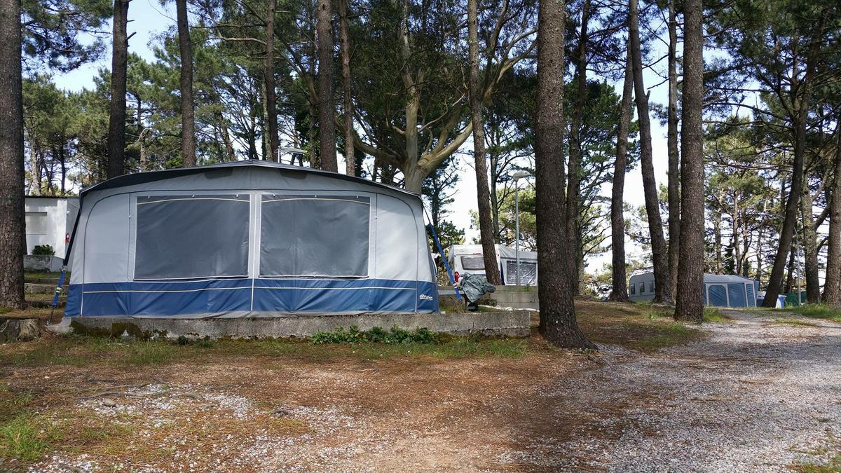 13288614_10209657101129968_919839917_o