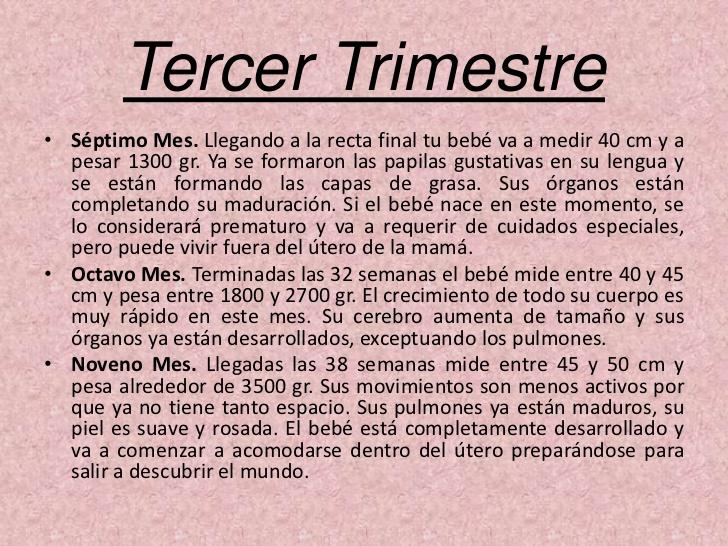 etapas-del-embarazo-4-728