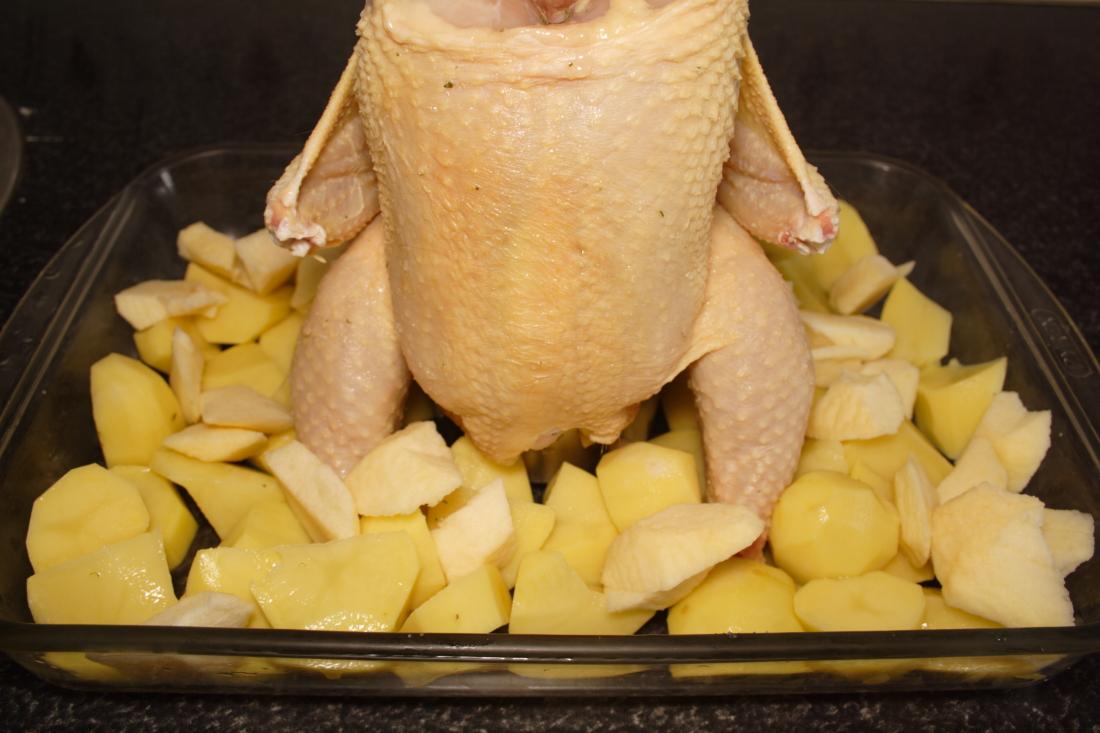 POLLO SENTADO A LA CERVEZA 3