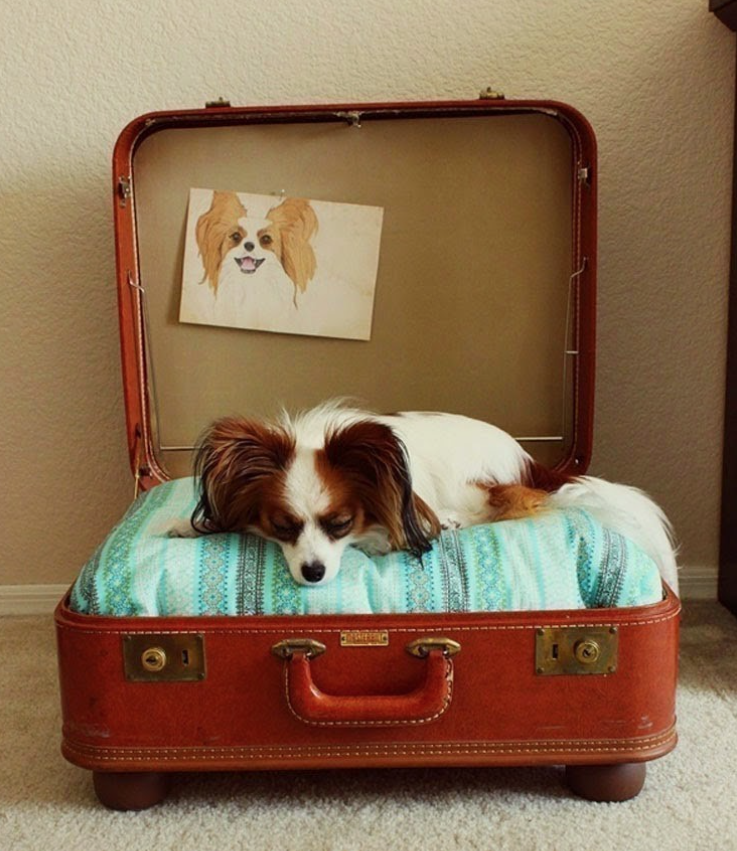 Ideas para decorar la casa con maletas