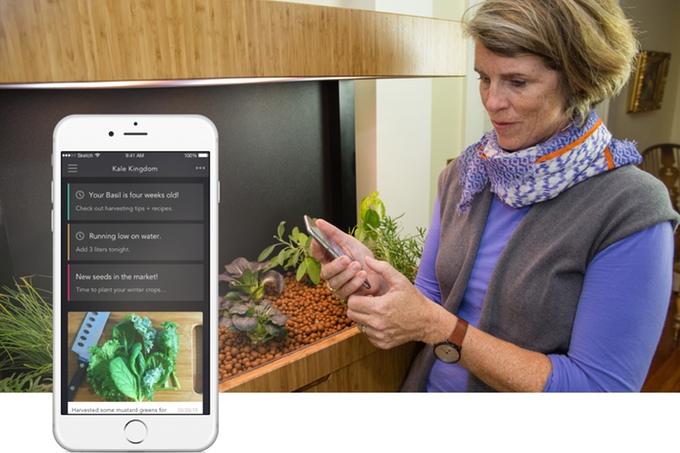 Grove aprovecha los desechos biológicos de los peces y recauda más de 400.000 dólares en Kickstarter