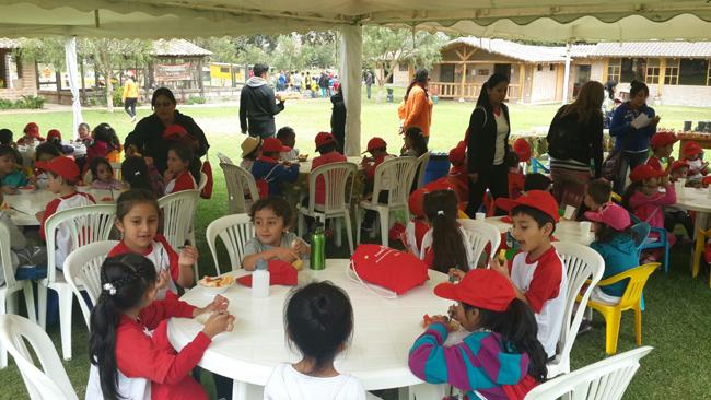 cursos vacacionales