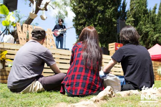 Fiesta Vida Festival