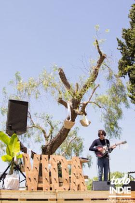 Fiesta Vida Festival