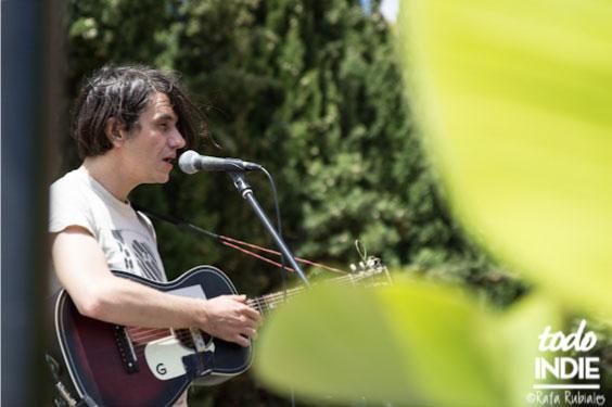 Fiesta Vida Festival