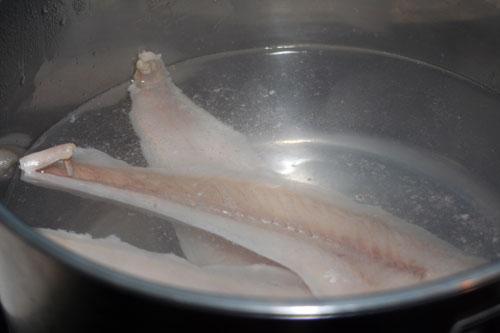 hervir-la-merluza
