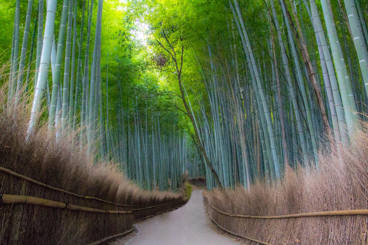 Arashiyama-Kyoto