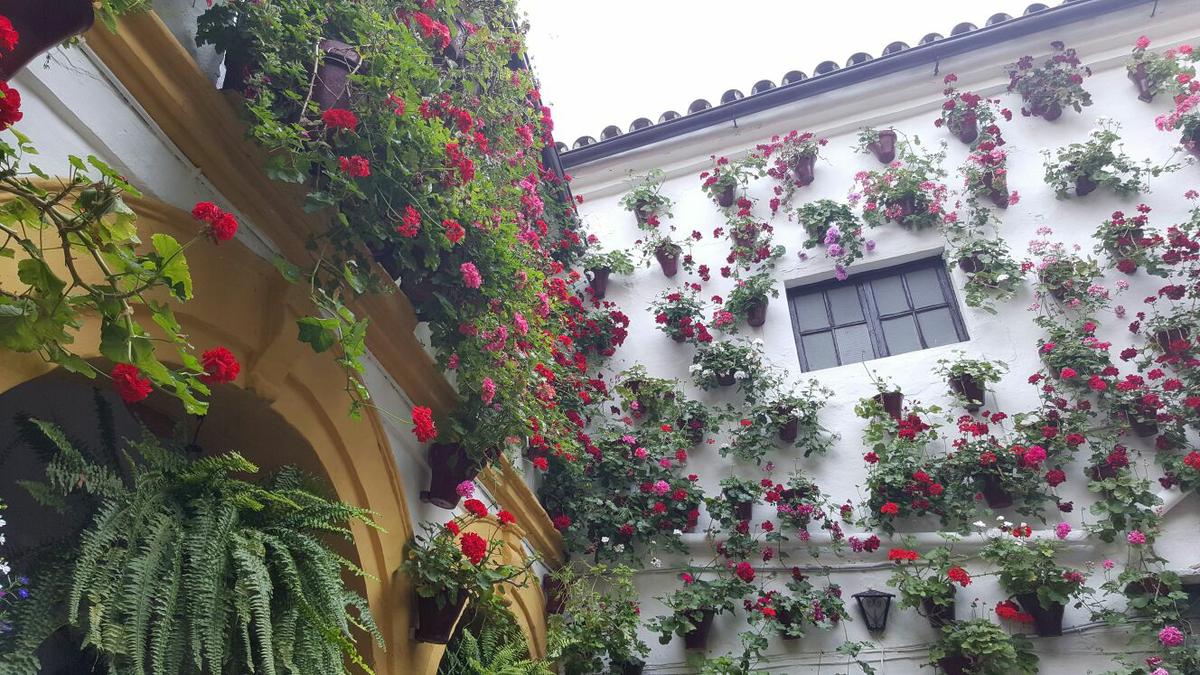 menu saludable en cordoba