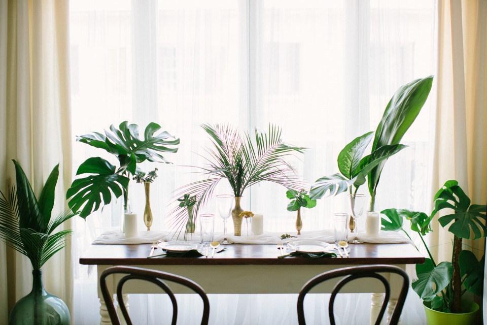 Decora una fiesta tropical en All Lovely Party