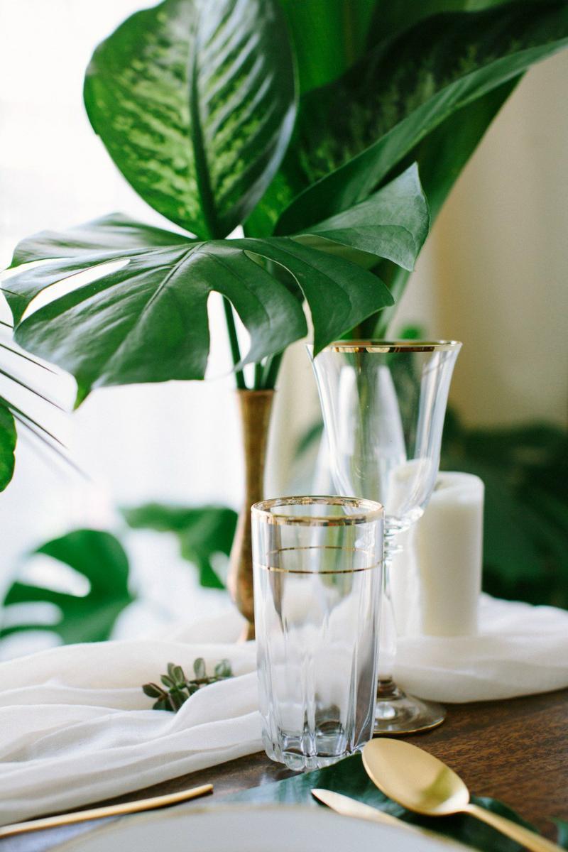 Decora una fiesta tropical en All Lovely Party 