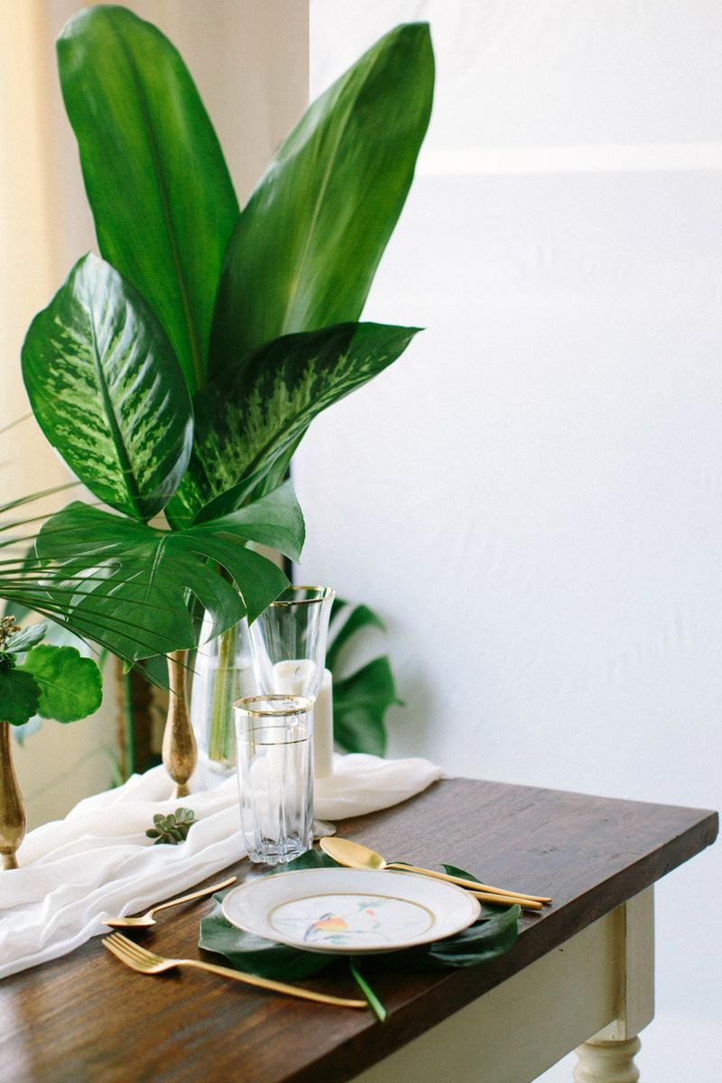 Decora una fiesta tropical en All Lovely Party