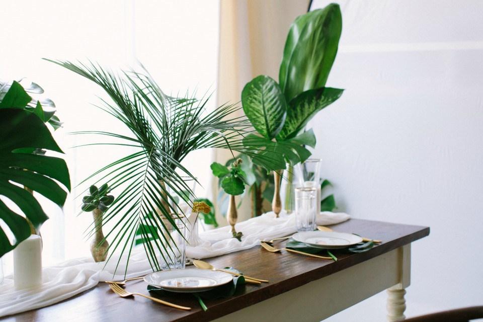 Decora una fiesta tropical en All Lovely Party 