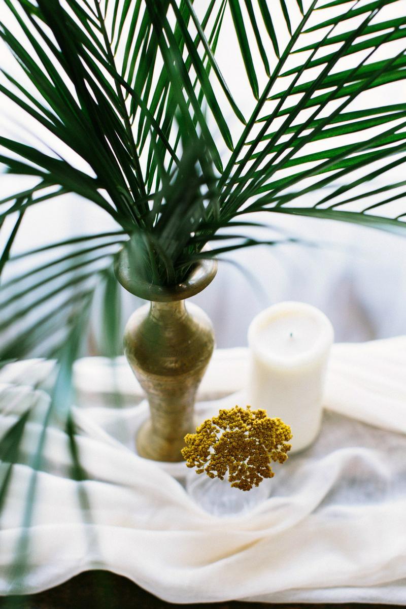 Decora una fiesta tropical en All Lovely Party