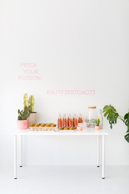Fiesta de cactus candy bar