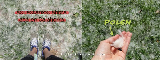 primavera en Calahorra