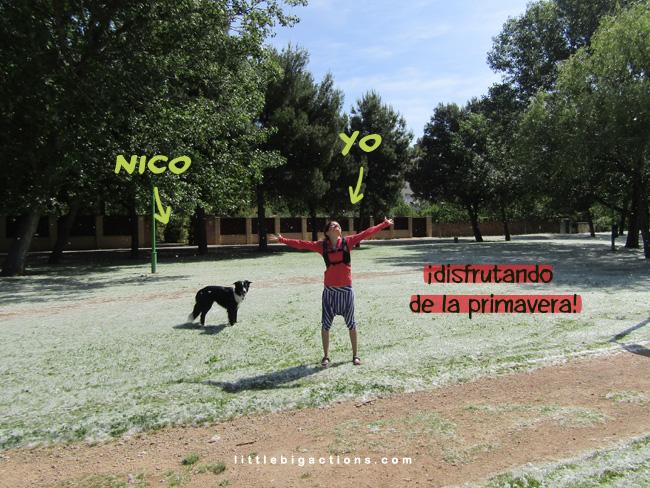 difrutando la primavera
