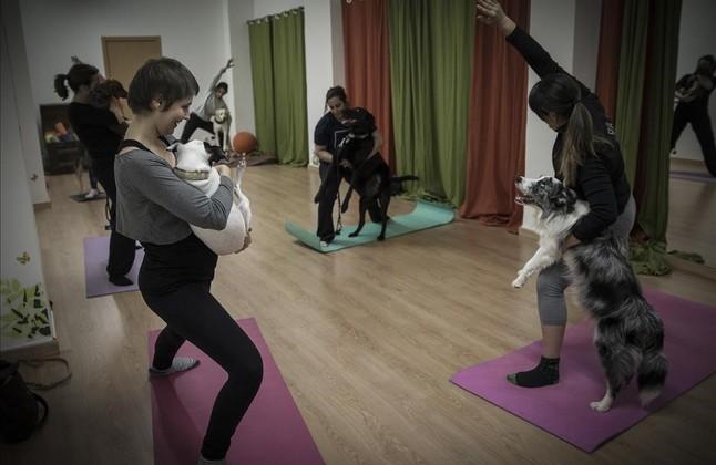 sesión de doga en barcelona