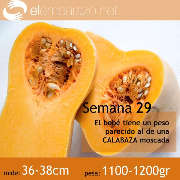 bebe-29-semanas-embarazo