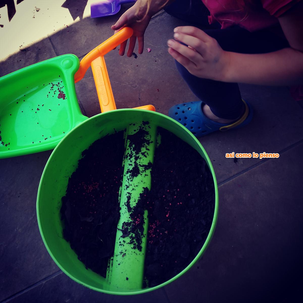 juego-jardineria-reto-disfrutar-con-ellos