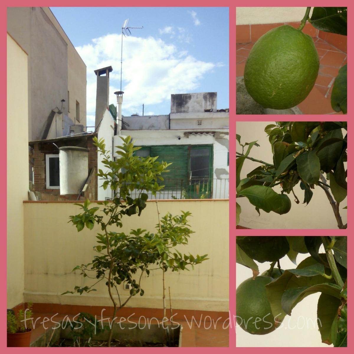 PicsArt_05-30-05.39.43