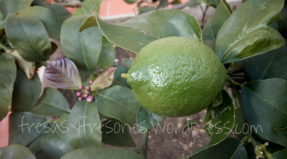 PicsArt_05-30-03.34.30