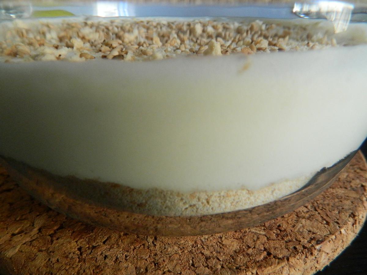 cheesecakedemanzana2