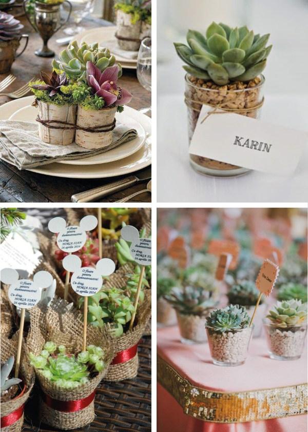 souvenirs-con-suculentas