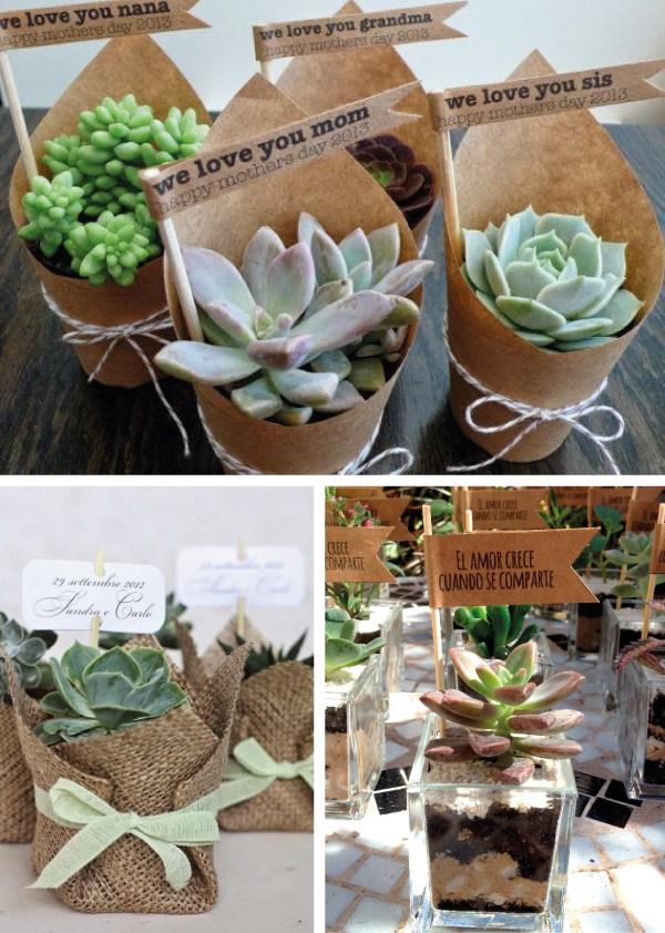 souvenirs-con-cactus-y-suculentas